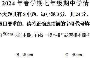江苏省盐城市阜宁县2023-2024学年七年级下学期期中数学试题（含解析）