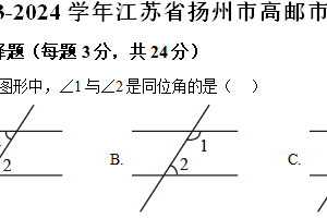 江苏省扬州市高邮市2023-2024学年七年级下学期期中数学试题（含解析）