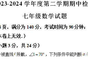 江苏省徐州市2023-2024学年七年级下学期期中数学试题（含解析）