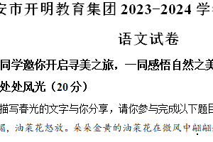 江苏省淮安市2023-2024学年八年级下学期期中语文试题（含解析）