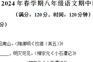 江苏省盐城市大丰区2023-2024学年八年级下学期期中语文试题（含解析）