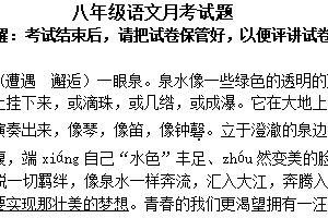 江苏省徐州市沛县第五中学2023-2024学年八年级下学期5月月考语文试题（含答案）