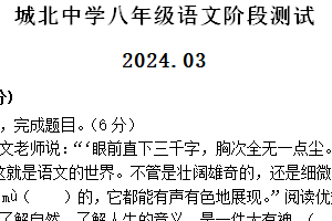 江苏省扬州市高邮市城北中学2023-2024学年八年级下学期第一次课堂练习语文试题（含答案）