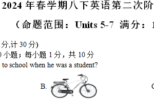江苏省盐城市射阳外国语学校2023-2024学年下学期八年级英语第二次阶段练习（含答案，含音频，无听力原文）