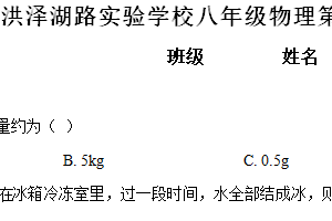 江苏省宿迁市泗洪县洪泽湖路实验学校2023－2024学年下学期八年级物理第一次达标作业（含解析）