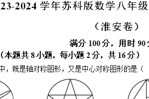 江苏省淮安市2023-2024学年八年级下学期期中数学试题（含解析）