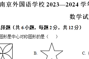 江苏省南京市南京外国语学校2023-2024学年八年级下学期期中数学试题（含解析）