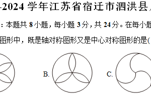江苏省宿迁市泗洪县2023-2024学年八年级（下）期中数学试卷（含解析）