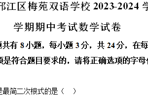 江苏省扬州市邗江区邗江区梅苑双语学校2023-2024学年八年级下学期期中数学试题-A4每题后答案（含解析）