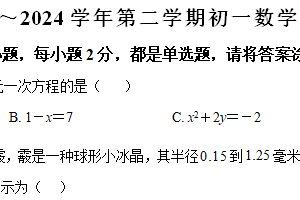 江苏省苏州市新区实验初中2023-2024学年七年级下学期5月月考数学试题（含解析）