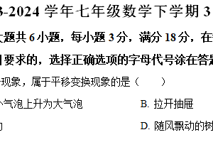 江苏省泰州市兴化市2023-2024学年七年级下学期3月月考数学试题（含解析）