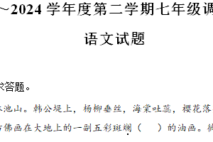 江苏省淮安市淮阴区2023-2024学年七年级下学期期中语文试题（含解析）