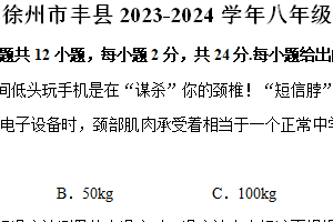 江苏省徐州市丰县2023-2024学年八年级下学期期中物理试卷（含解析）
