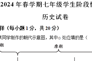 江苏省泰州市兴化市2023-2024学年七年级下学期4月期中历史试题（含解析）