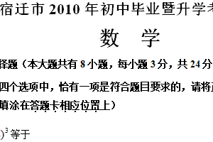 2010年江苏省宿迁市中考数学试卷（含答案）