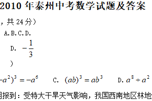 2010年江苏省泰州市中考数学真题（含答案）