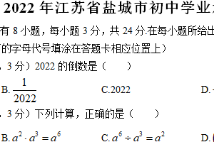 2022年江苏省盐城市中考数学真题（含解析）
