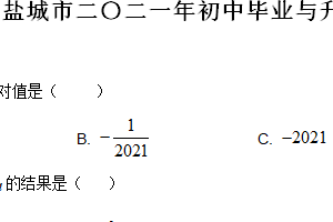 2021年江苏省盐城市中考数学试题（含解析）