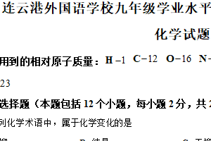 2024年6月江苏省连云港外国语学校中考适应性测试化学试题（含解析）