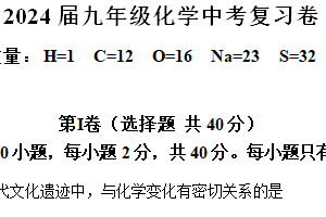 2024年江苏省常州市实验初级中学九年级化学中考复习卷（含解析）