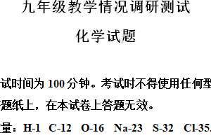 2024年江苏省常州市中考模拟化学试题（含解析）
