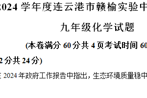 2024年江苏省连云港市赣榆区赣榆实验中学中考三模化学试题（含解析）
