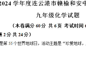 2024年江苏省连云港市赣榆区和安中学三模化学试题（含解析）
