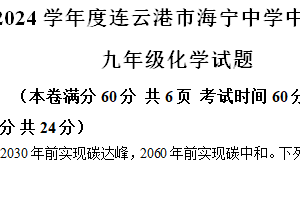 2024年江苏省连云港市海宁中学中考三模化学试题（含解析）