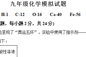 2024年江苏省连云港市海州区中考模拟化学试题（含解析）