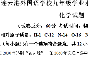 2024年江苏省连云港市外国语学校中考二模化学试卷（含解析）