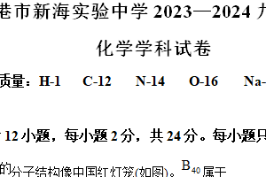 2024年江苏省连云港市新海实验中学中考二模化学试题（含解析）