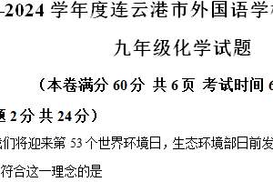 2024年江苏省连云港外国语学校中考三模化学试题（含解析）