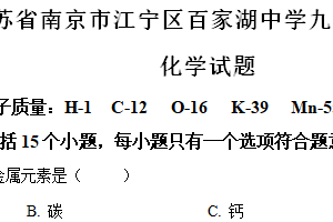 2024年江苏省南京市江宁区百家湖中学中考化学模拟试卷 （含解析）