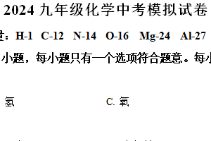 2024年江苏省南京市江宁区中考模拟化学试卷（含解析）
