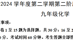 2024年江苏省南京市九年级化学第二学期第二次监测试卷（含答案）