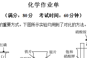 2024年江苏省南京市浦口区桥林中学，星甸中学中考模拟考试化学试题（含解析）