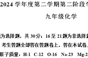 2024年江苏省南京市秦淮区中考二模考试化学试题（含解析）