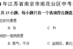 2024年江苏省南京市雨花台区中考化学模拟试卷（含解析）
