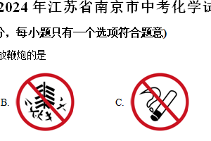 2024年江苏省南京市中考化学试题（含解析）