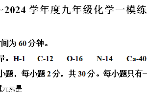 2024年江苏省南京市中考化学一模练习卷（含解析）