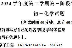 2024年江苏省南通市海安市海安市中考模拟考试十三校联考二模化学试题（含解析）