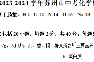 2024年江苏省苏州市高新区中考化学模拟练习卷（含解析）