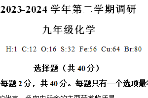 2024年江苏省苏州市工业园区星湾学校中考零模化学试题（含解析）