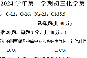 2024年江苏省苏州市张家港市梁丰初级中学九年级第一次模拟测试化学试题（含解析）