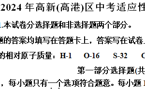 2024年江苏省泰州市高新（高港）区中考二模化学试题（含解析）