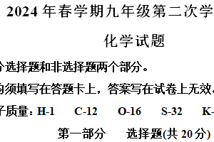 2024年江苏省泰州市姜堰区中考二模化学试题（含解析）