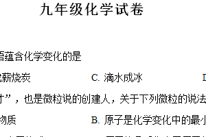 2024年江苏省泰州市靖江市外国语学校中考化学模拟试题1（含解析）