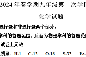 2024年江苏省泰州市泰兴市九年级第一次学情调查化学试题（含解析）