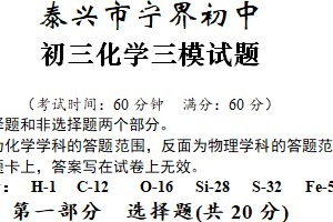 2024年江苏省泰州市泰兴市宁界初中中考三模化学试卷（含答案）