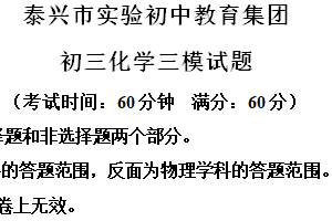 2024年江苏省泰州市泰兴市实验初中教育集团泰师分校中考三模化学试题（含解析）